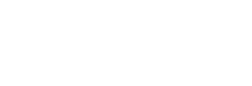 Sentinel Group of Companies Logo
